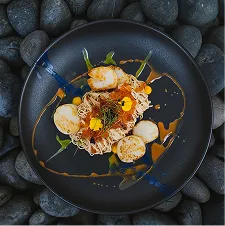 Gastronomy